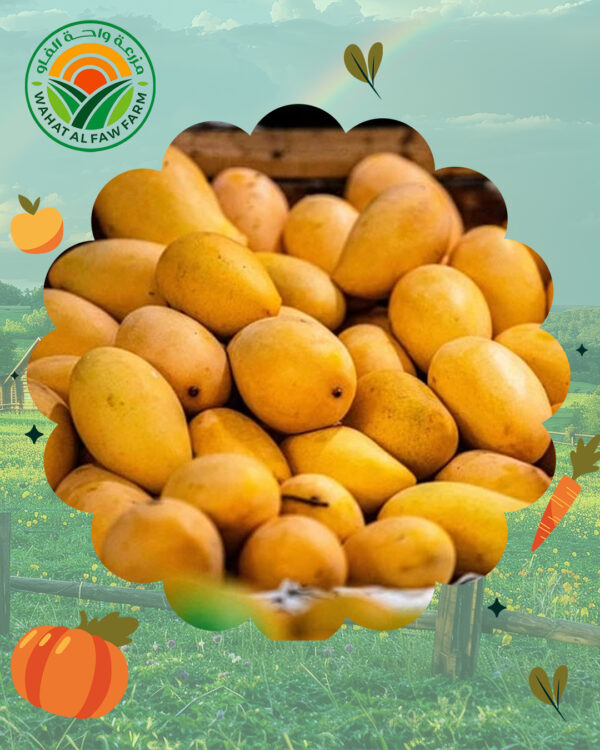 بطيخ