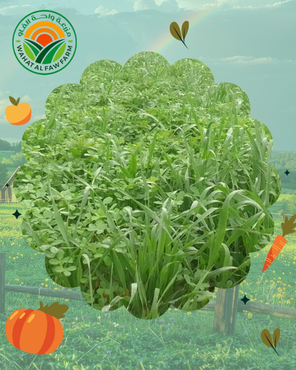 علف